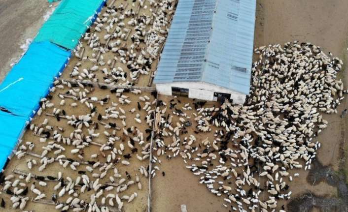 Erzincan’da “Köyümde Yaşamak İçin Bir Sürü Nedenim Var” projesi çerçevesinde