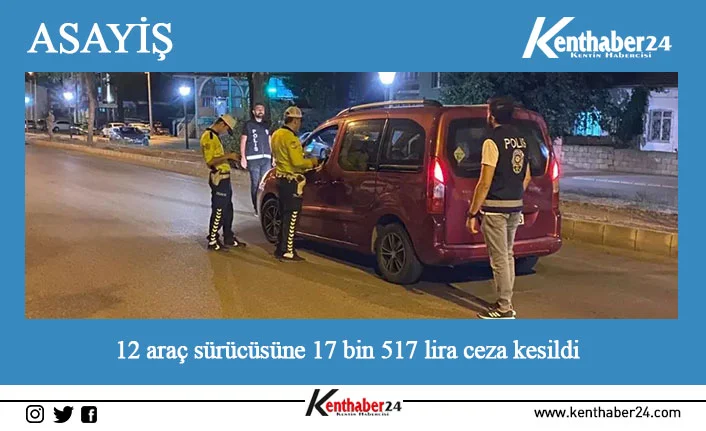 Erzincan İl Emniyet Müdürlüğünce il genelinde yapılan asayiş uygulamalarında 12
