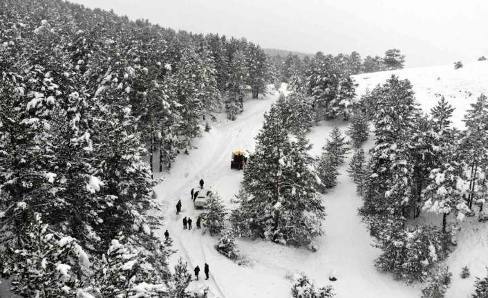 Erzincan’da etkili olan kar