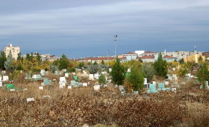 Türkiye’de 2019 yılında 435 bin 941, Erzincan’da ise bin 527