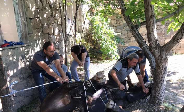 Erzincan’da Kurban Bayramında il merkezi ve ilçeler dahil 27 bin