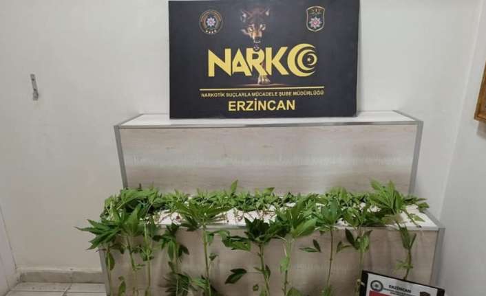 Erzincan’da narkotik polislerince yol