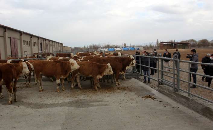 Erzincan’da Damızlık Sığır Yetiştiricileri Birliği ve Erzincan Ticaret ve Sanayi