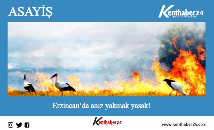 Erzincan’da son günlerde otluk, çalılık ve ağaçlık alanlarda artan yangınlar