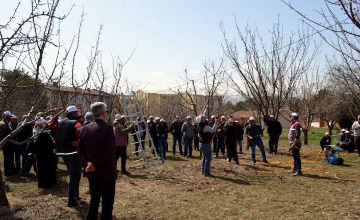 Erzincan’da, meyve yetiştiren çiftçilere yönelik uygulamalı olarak “Modern Meyvecilikte Aşılama