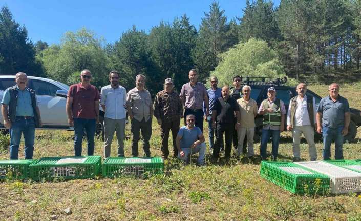 Erzincan’da bin adet kınalı keklik doğaya salındı.