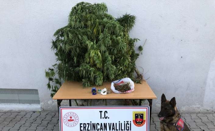 Erzincan’da jandarma ekiplerince bir ev ve eklentilerinde yapılan aramada bir