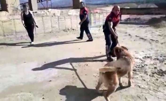 Erzincan Organize Sanayi Bölgesi’nde bulunan 3 metrelik boş havuza düşen