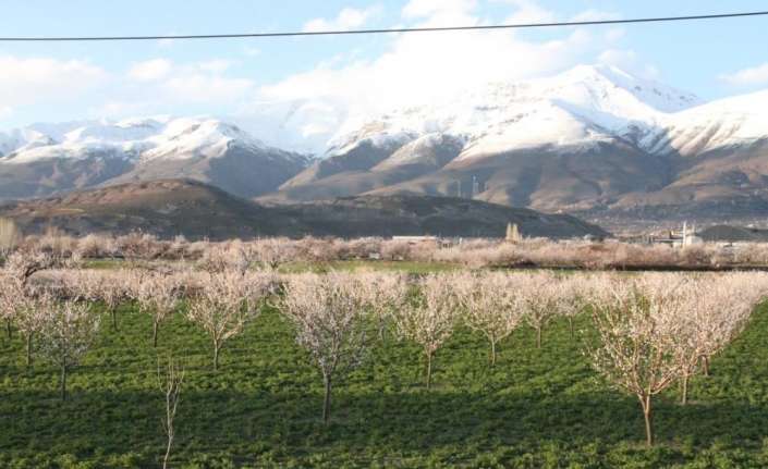 ERZİNCAN’DA HAVA SICAKLIĞININ ANİDEN