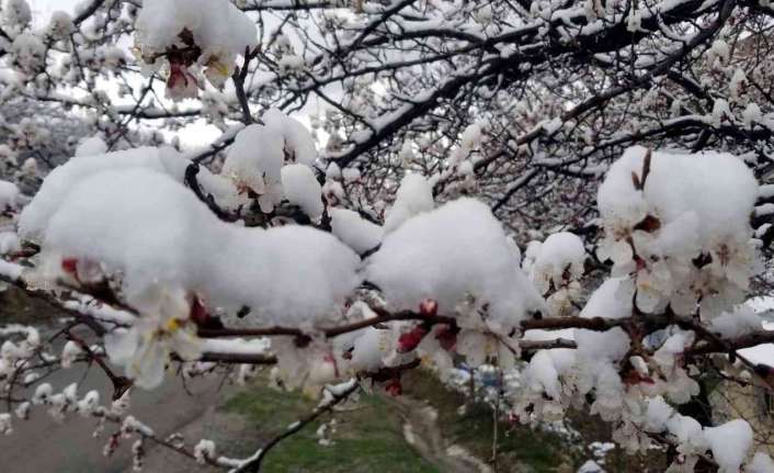 Erzincan’da Nisan ayında yağan