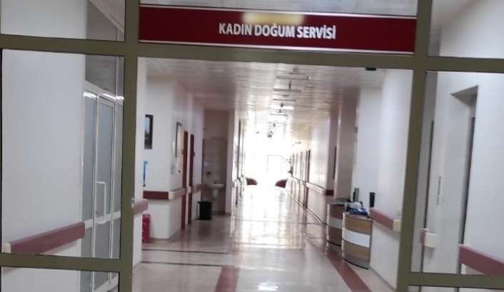 Türkiye İstatistik Kurumu (TÜİK), 2022 yılına ilişkin doğum istatistiklerine göre