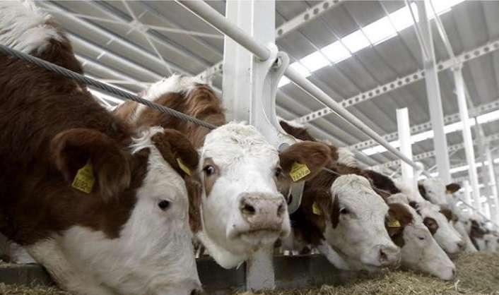 Tarım ve Orman Bakanlığı tarafından 81 ilde uygulanan tarımsal destekleme