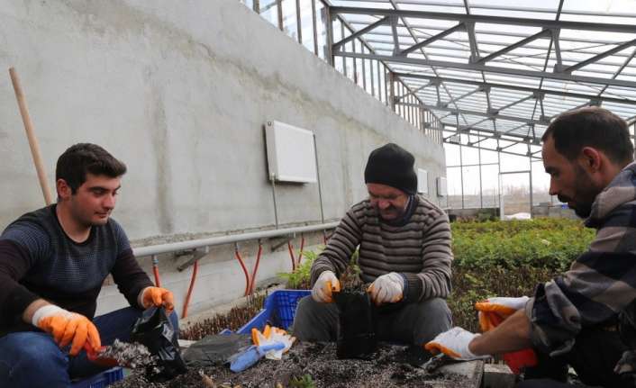 Erzincan’da bahar aylarında şehre daha yeşil ve daha güzel görünüm