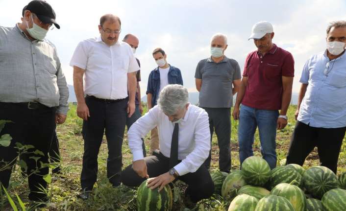 Doğu Anadolu Bölgesinin sebze