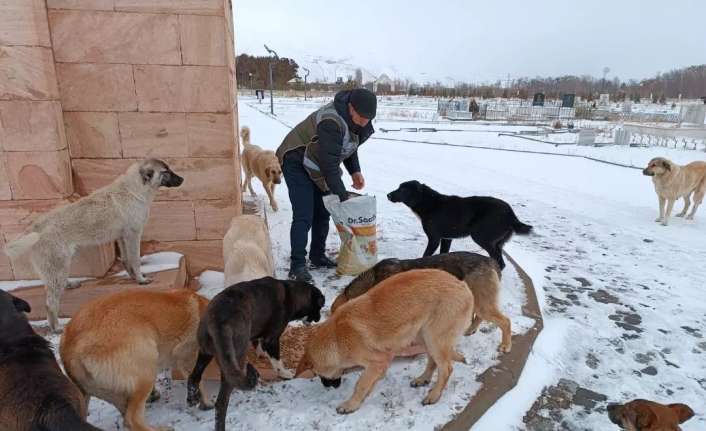 Erzincan’da Hayvan Durum İzleme