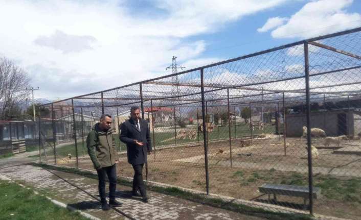 Erzincan’da belediyeye bağlı bulunan geçici hayvan bakımevi, Doğa Koruma ve