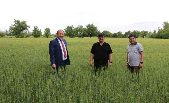 2022 yılı tarım sezonunda hububat ekim alanlarında kontrollerini sürdüren Erzincan