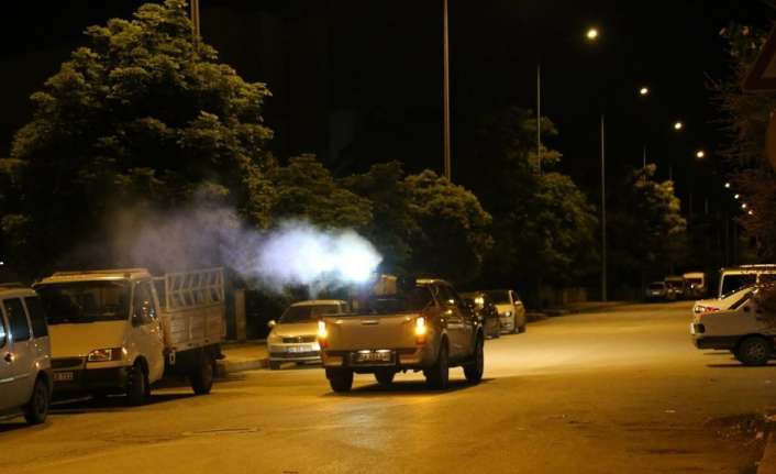 Erzincan’da havaların ısınmasıyla birlikte şehir genelinde sivrisinek ve karasineklere karşı