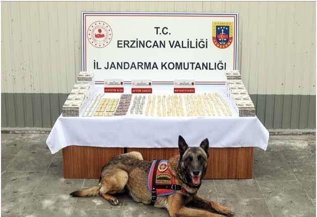 ERZİNCAN İL JANDARMA KOMUTANLIĞI NİSAN AYI İÇERİSİNDE YAPILAN FAALİYETLERİNİ PAYLAŞTI.