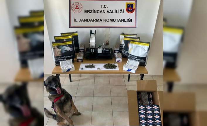 Erzincan'da jandarma uygulama yaptı Temmuz ayı içerisinde Erzincan il genelinde Jandarma ekipleri tarafından sorumluluk