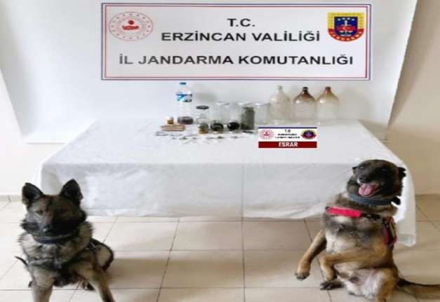 Erzincan'da Jandarmadan uyuşturucu operasyonu Erzincan'da, jandarmanın Haziran ayı içerisinde yaptığı uygulama ve operasyonlarda, çeşitli