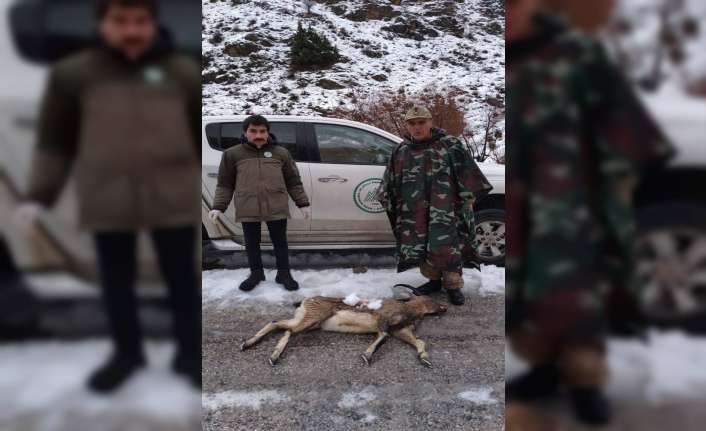 Erzincan’da kaçak avlandıkları tespit edilen 3 kişiye 27 bin 777