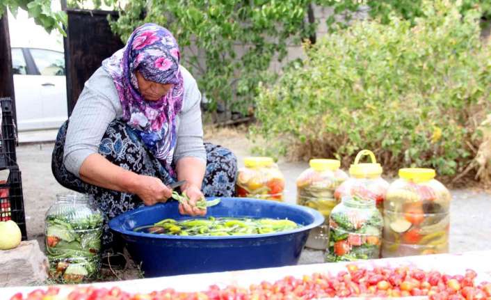 Erzincan ovasında yetiştirilen sebzelerin hasadıyla birlikte kış aylarının vazgeçilmezlerinden olan