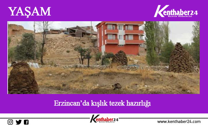 Erzincan’da köyde yaşayan vatandaşlar kışlık tezek hazırlığına başladı.