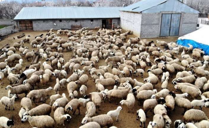 İl Tarım ve Orman Müdürlüğü verilerine göre desteklemeler ve hayata