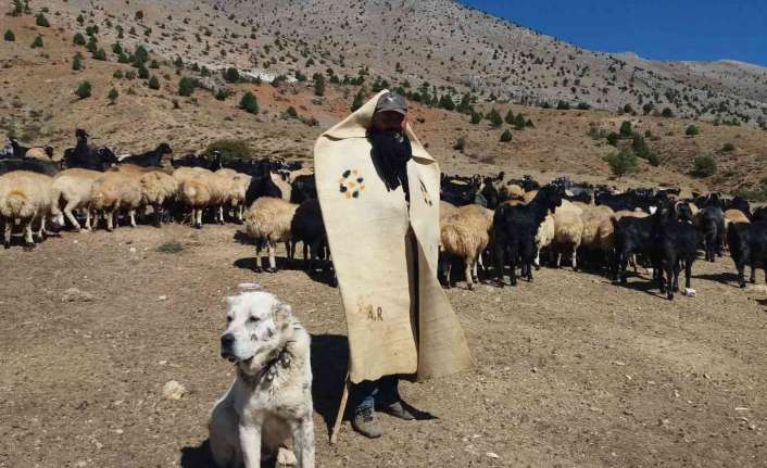 Erzincan’da meralar, havaların iyice ısınıp doğanın yeşermesiyle birlikte ağıllardan çıkarılan
