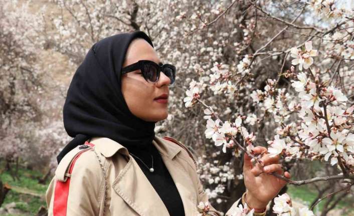 ERZİNCAN’DA HAVALARIN ISINMAYA BAŞLAMASIYLA BİRLİKTE MEYVE AĞAÇLARI DA ÇİÇEKLERİNİ AÇTI.