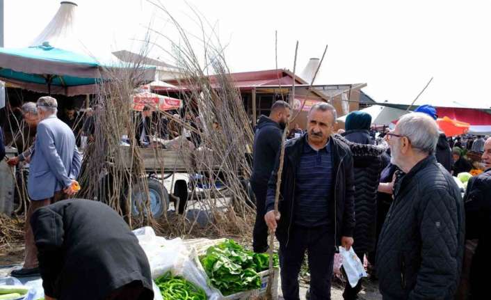 ERZİNCAN’DA BAHAR AYININ HABERCİLERİNDEN FİDANLARIN TOPRAKLA BULUŞMA DÖNEMİ BAŞLADI. PAZAR