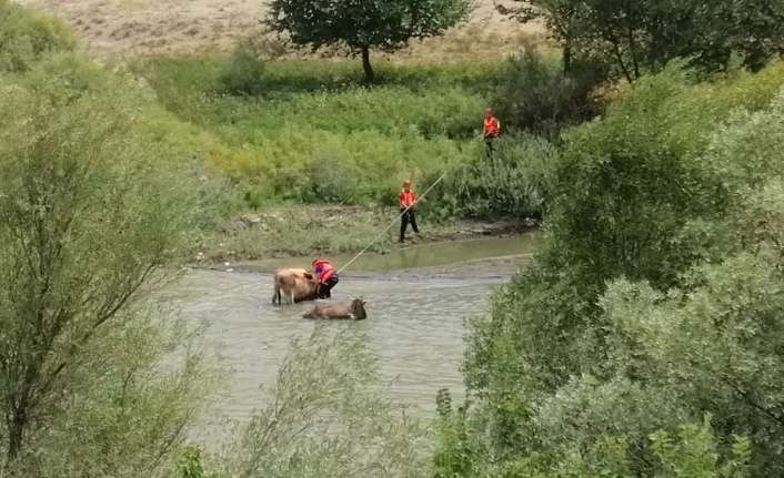 Karasu Nehri kenarında oluşan