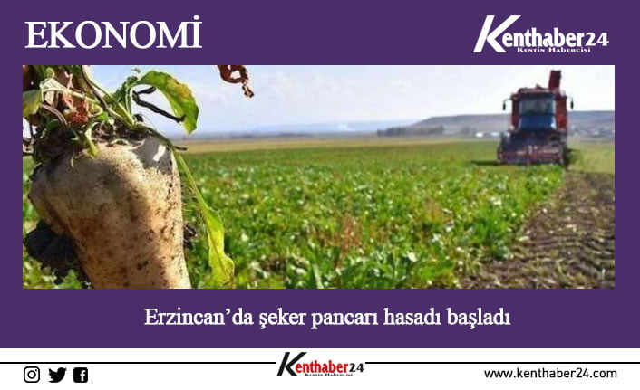 Erzincan ve ilçelerinde çiftçilerin önemli geçim kaynaklarından biri olan ve