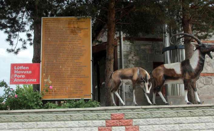 Erzincan’ın Mollaköy Beldesinde bulunan ve Şanlıurfa’daki Balıklı Gölü andıran gölün