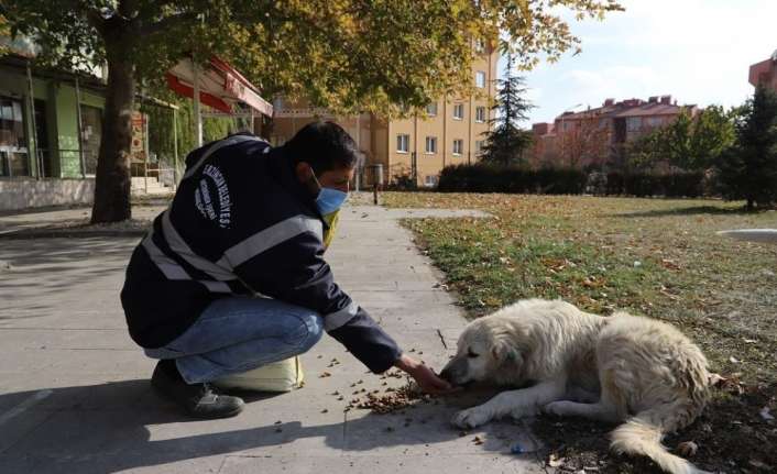 Erzincan’da, korona virüs (Covid-19) tedbirleri kapsamındaki uygulanan sokağa çıkma kısıtlamasında,