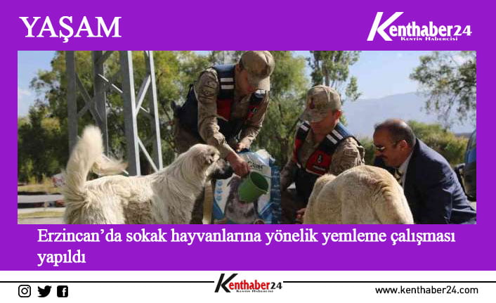 Erzincan’da Dünyada Hayvanları Koruma Günü etkinlikleri çerçevesinde sokak hayvanlarına yönelik