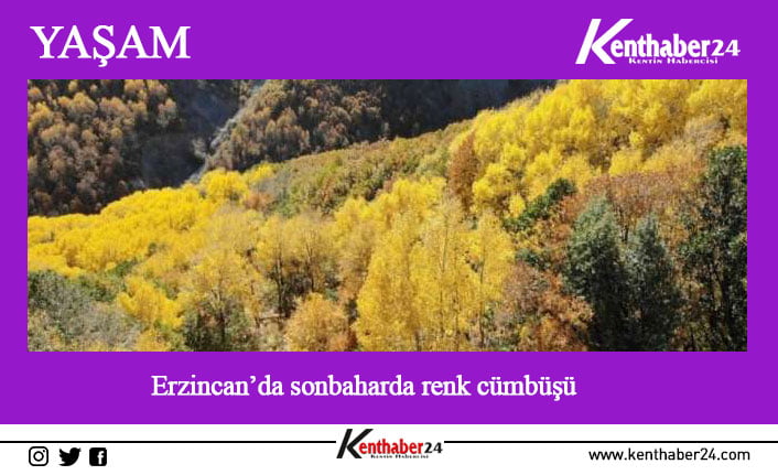 Erzincan’da sonbaharın gelmesiyle dağlarda renk cümbüşü oluşturan ağaçlar farklı bir