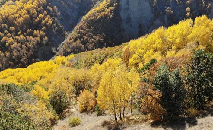 Erzincan’da sonbaharın gelmesiyle dağlarda
