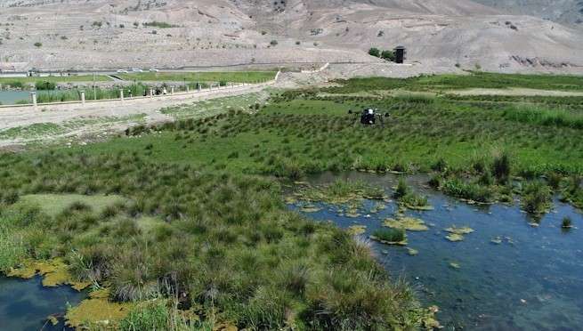 Erzincan’da Ekşisu Mesire alanı çevresinde larva mücadelesi kapsamında drone ile