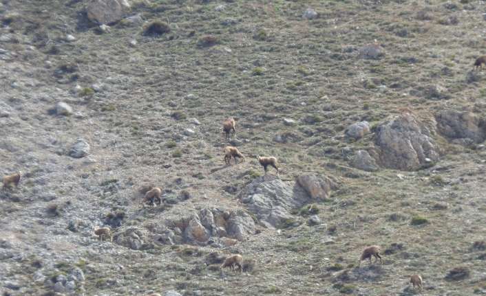 Erzincan’da 3 bin 300