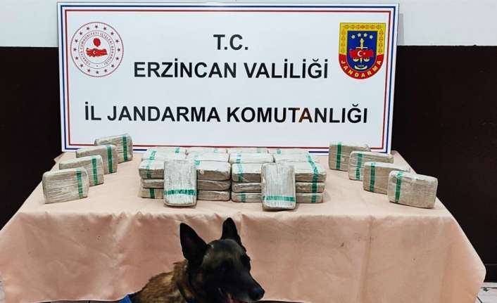 Erzincan’ın Tercan ilçesinde tırda yapılan aramada 25 kilo 720 gram
