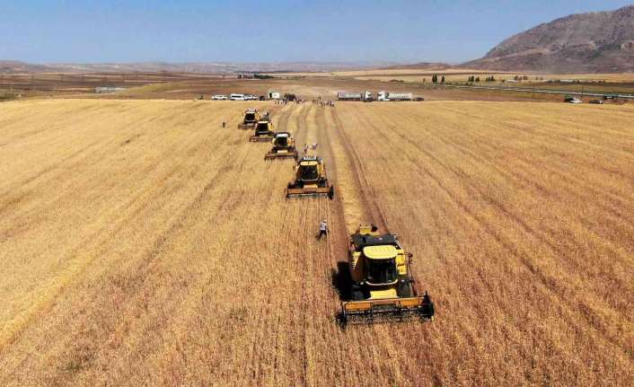 Erzincan’da Toprak Mahsulleri Ofisi’nin (TMO) 1 Eylül olarak belirlediği hububat