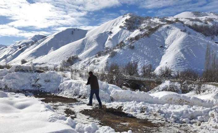 Erzincan’da, çetin kış şartları nedeniyle yiyecek bulmakta zorlanan yaban hayvanları