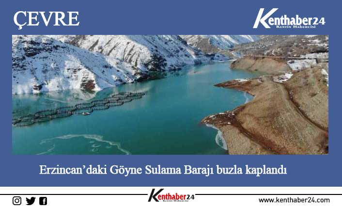 Dondurucu soğukların yaşandığı Erzincan’da, Göyne Sulama Barajı’nın yüzeyi buz tuttu.