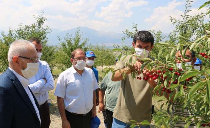 Erzincan’da kirazın ardından 95