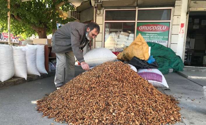 Erzincan’da köylerde yetiştirilip toplanan 200 ton acı kayısı çekirdeği Malatya’ya