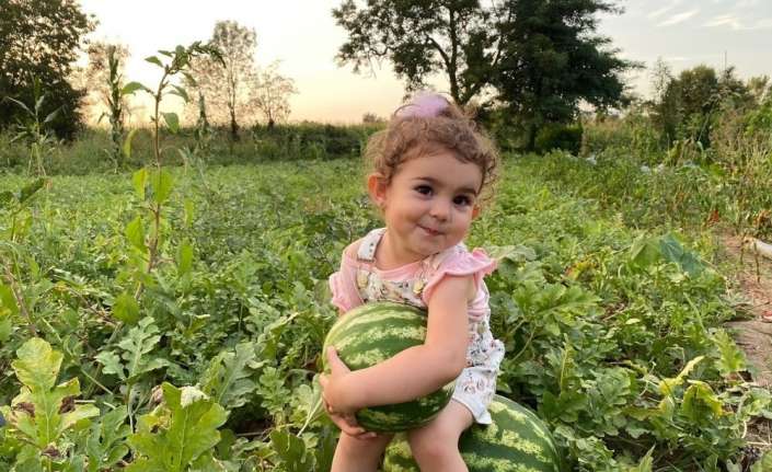 Erzincan merkeze bağlı Uluköy’de mayıs ayında toprakla buluşan karpuz fidelerinin