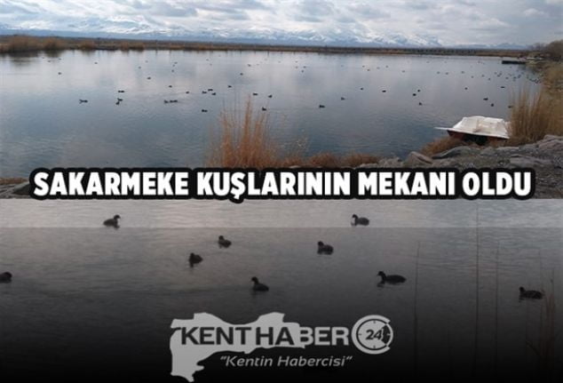 Erzincan Belediye Başkanı Cemalettin Başsoy, Tüm arkadaşlarımızla Erzincan’ı gecesiyle gündüzüyle