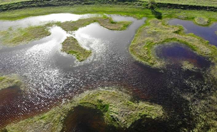Erzincan merkeze bağlı Ahmetli köyündeki gölde 2006 yılında tespit edilen